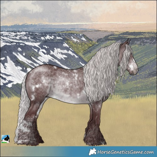 Horse Color:White Spotted Chocolate Silver Brown Chinchilla Rabicano
