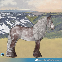 Horse Color:White Spotted Chocolate Silver Brown Chinchilla Rabicano 