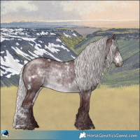 Horse Color:White Spotted Chocolate Silver Brown Chinchilla Rabicano 