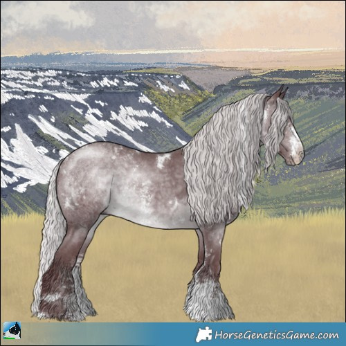 Horse Color:White Spotted Chocolate Silver Brown Chinchilla Sabino Rabicano