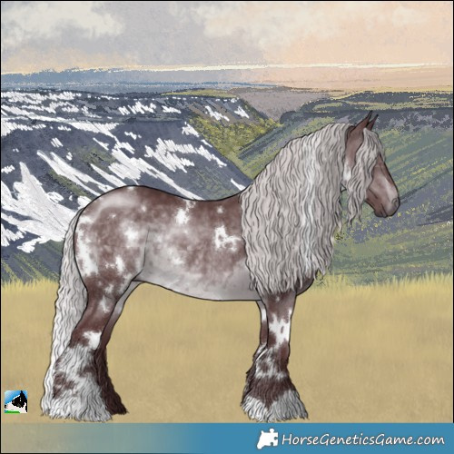Horse Color:White Spotted Chocolate Silver Brown Chinchilla Rabicano