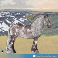 Horse Color:White Spotted Chocolate Silver Brown Chinchilla Rabicano 