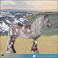 Horse Color:White Spotted Chocolate Silver Brown Chinchilla Rabicano