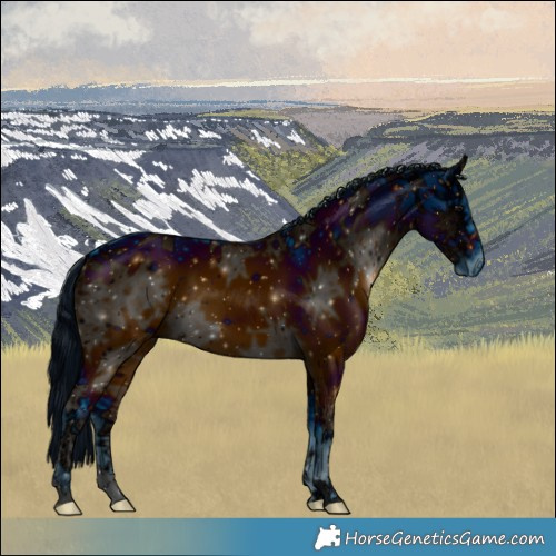 Horse Color:ERROR: UNKNOWN ANOMALY