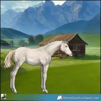 Horse Color:Perlino Rabicano 