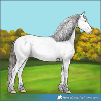 Horse Color:White Spotted Amber Champagne Splash 