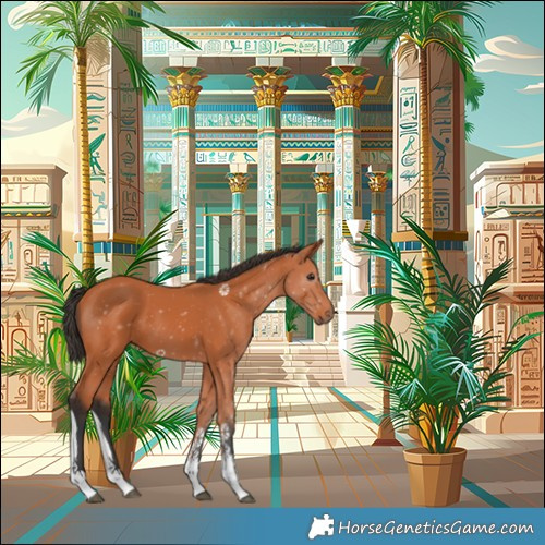 Horse Color:Bay Tobiano