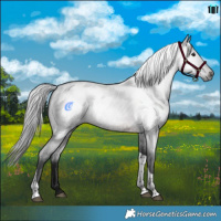 Horse Color:Gray Brown Roan Tobiano