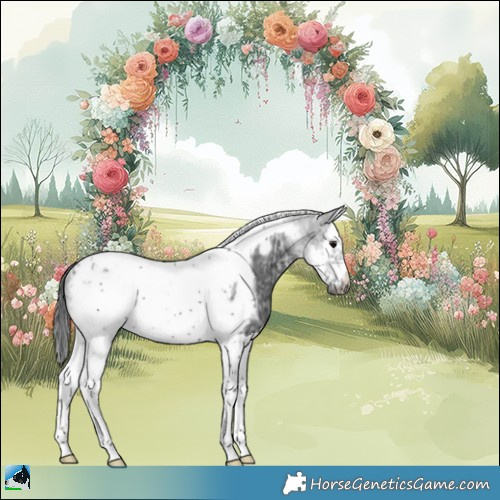 Horse Color:White Spotted Black Ice Splash Tobiano Frame Rabicano 