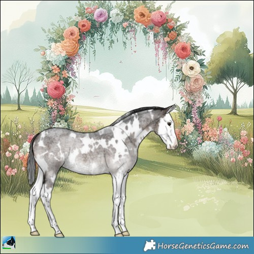 Horse Color:White Spotted Bay Ice Roan Splash 