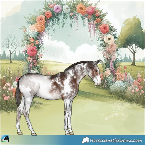 Horse Color:White Spotted Liver Chestnut 