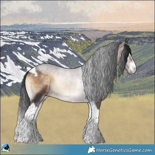 Horse Color:Brown Onyx Tobiano Rabicano