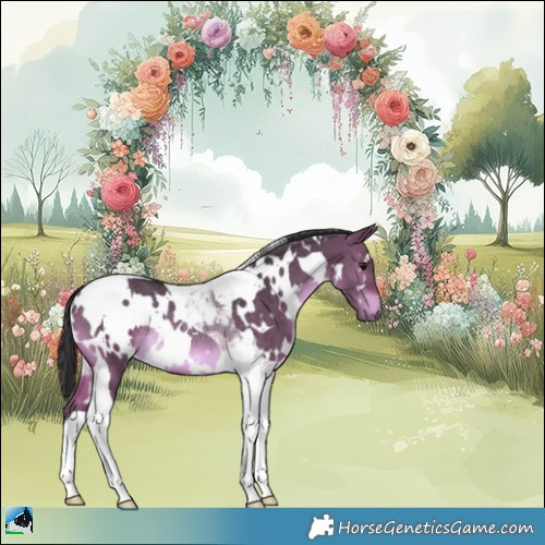 Horse Color:White Spotted Brown Dun Tobiano Rabicano 