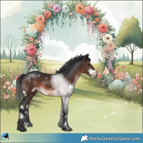 Horse Color:White Spotted Brown 
