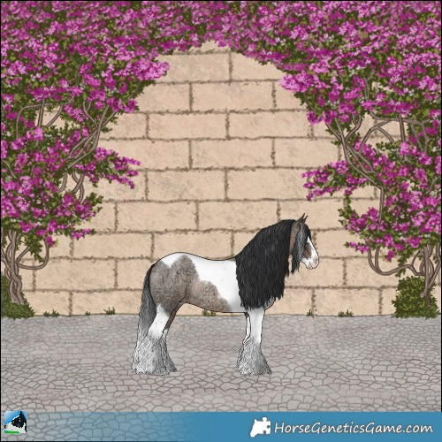 Horse Color:Bay Ice Roan Dun Splash Tobiano Rabicano