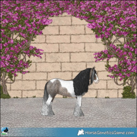 Horse Color:Bay Ice Roan Dun Splash Tobiano Rabicano