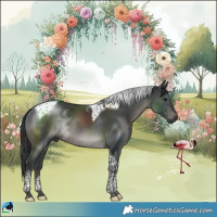 Horse Color:Black Tobiano Rabicano