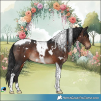 Horse Color:White Spotted Brown Tobiano Rabicano 