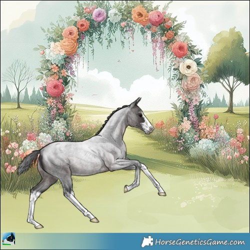 Horse Color:White Spotted Brown Roan Rabicano 