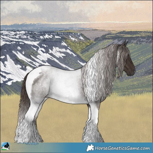 Horse Color:Liver Red Roan Tobiano Rabicano 