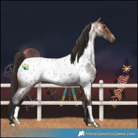 Horse Color:Bay Roan Near Leopard Rabicano 
