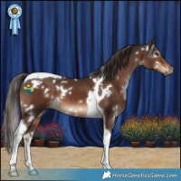 Horse Color:White Spotted Liver Chestnut Tobiano 