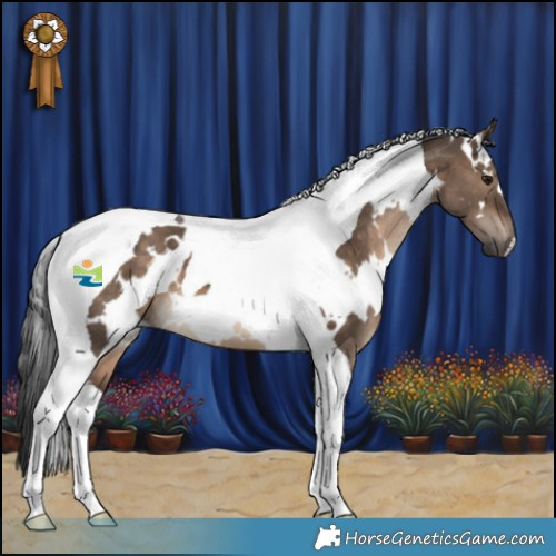 Horse Color:White Spotted Brown Dun Tobiano 