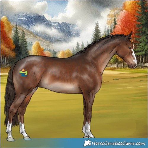 Horse Color:Liver Chestnut 