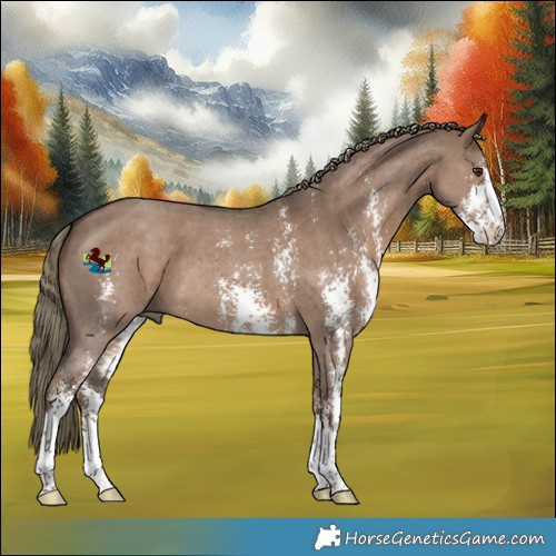 Horse Color:Liver Red Dun Sabino 