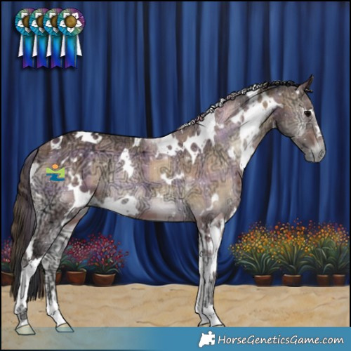 Horse Color:Plaid  White Spotted Brown Ice Onyx 