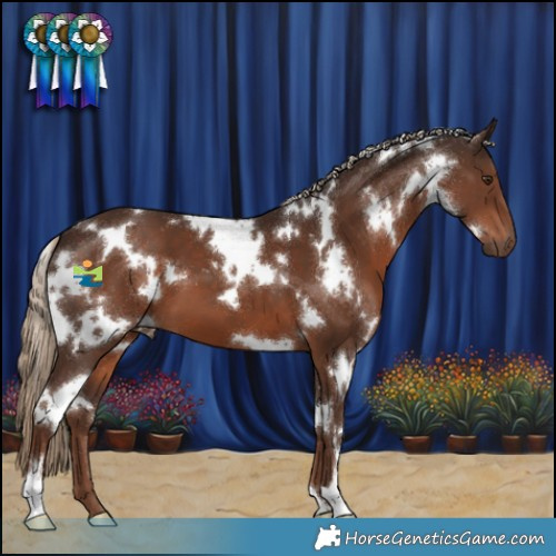 Horse Color:White Spotted Liver Chestnut 