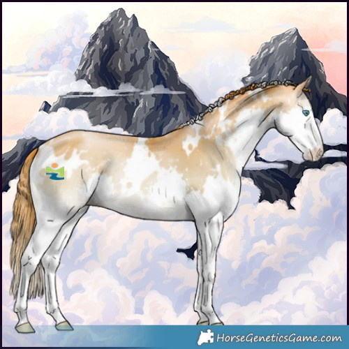 Horse Color:White Spotted Buckskin Pearl Onyx Splash 