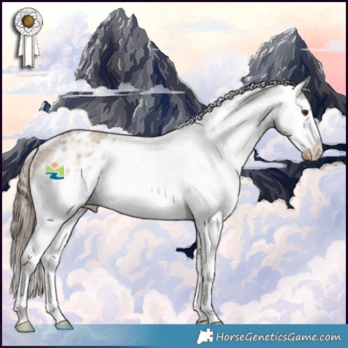 Horse Color:Liver Red Dun Ice Sabino Appaloosa 