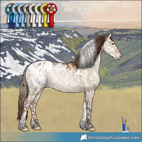 Horse Color:White Spotted Brown Pearl Dun Tobiano Blanket Rabicano 