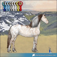Horse Color:White Spotted Brown Pearl Dun Tobiano Blanket Rabicano 