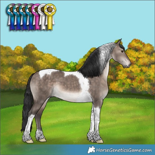 Horse Color:Brown Dun Mushroom Tobiano 