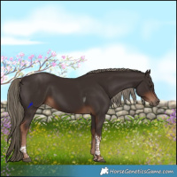 Horse Color:Liver Chestnut Tobiano 