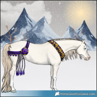 Horse Color:Perlino Dun Tobiano 
