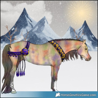 Horse Color:Nacre Buckskin Dun 