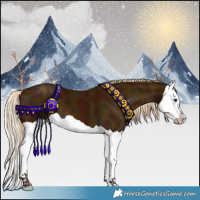 Horse Color:Midnight Palomino Splash 