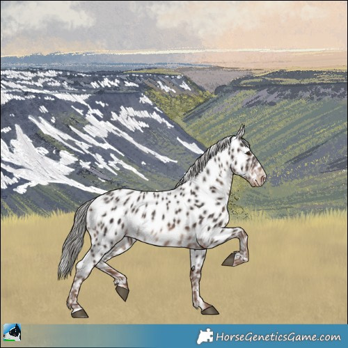 Horse Color:Liver Chestnut Mushroom Near Leopard