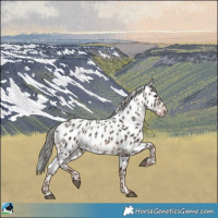 Horse Color:Liver Chestnut Mushroom Near Leopard 