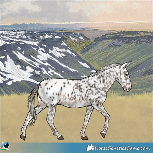 Horse Color:Liver Chestnut Mushroom Blanket