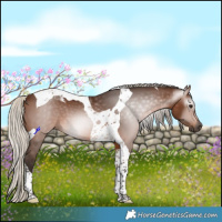 Horse Color:Gray Silver Bay Tobiano 