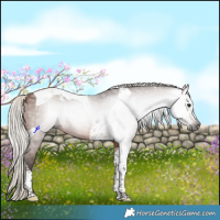 Horse Color:Gray Silver Bay Tobiano 