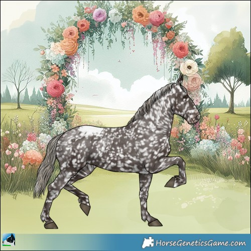 Horse Color:Liver Chestnut Mushroom Appaloosa