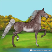 Horse Color:Chocolate Silver Smoky Black Chinchilla 
