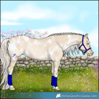 Horse Color:White Spotted Cremello Dun Rabicano 