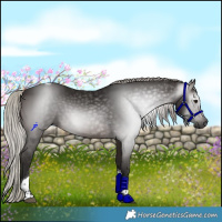 Horse Color:Gray Silver Brown Tobiano 