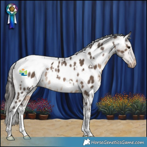 Horse Color:White Spotted Bay Dun Appaloosa Rabicano 